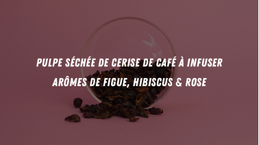 Cascara, Pulpe séchée de cerise de café à infuser