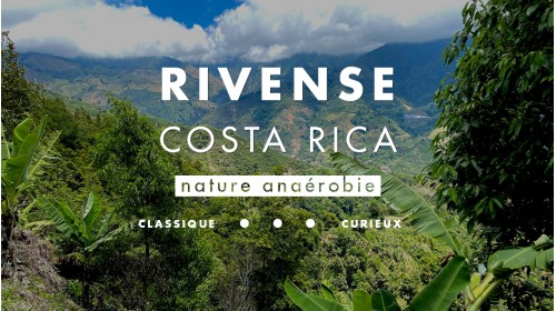 Café de spécialité du Costa Rica
