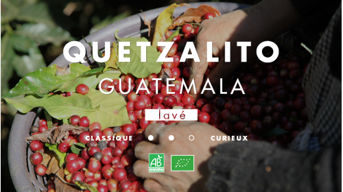 Café de spécialité Guatemala Bio