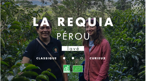 Café de spécialité La Requia du Pérou