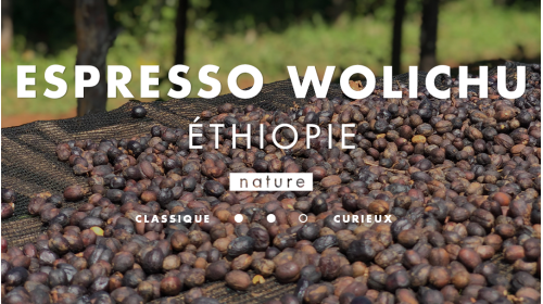 Éthiopie Wolishu idéal espresso