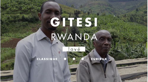 Café de spécialité Rwanda Gitesi
