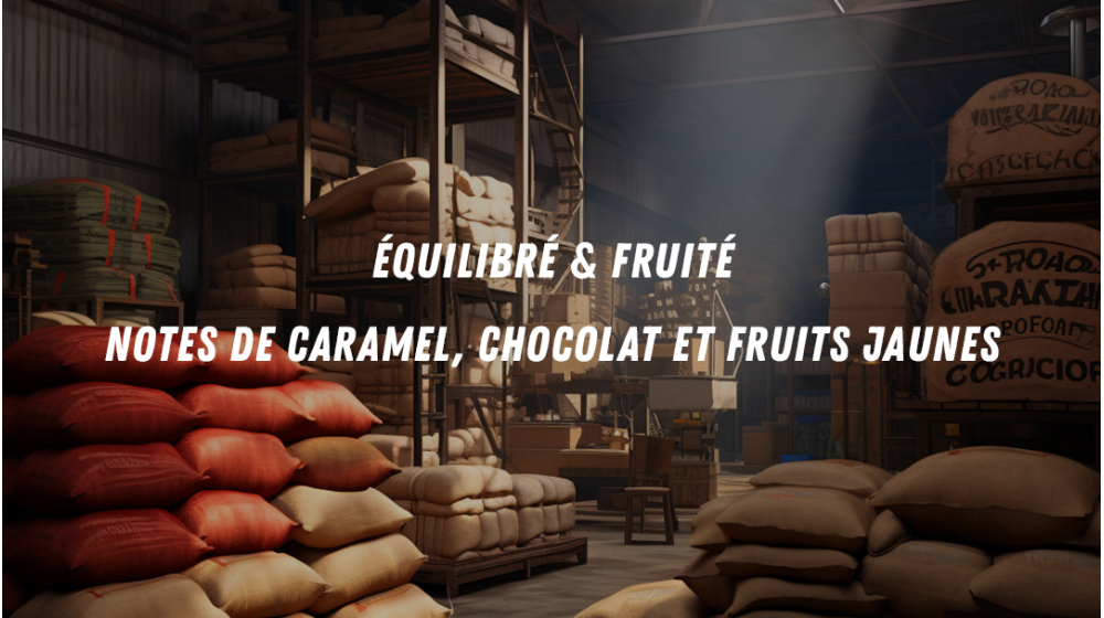 Notes du mélange de café de spécialité pour espresso et filtre