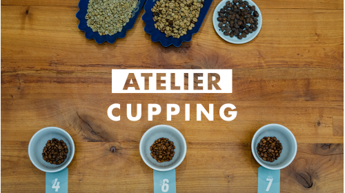 Un Atelier Cupping pour initier son palais à l'analyse sensorielle.