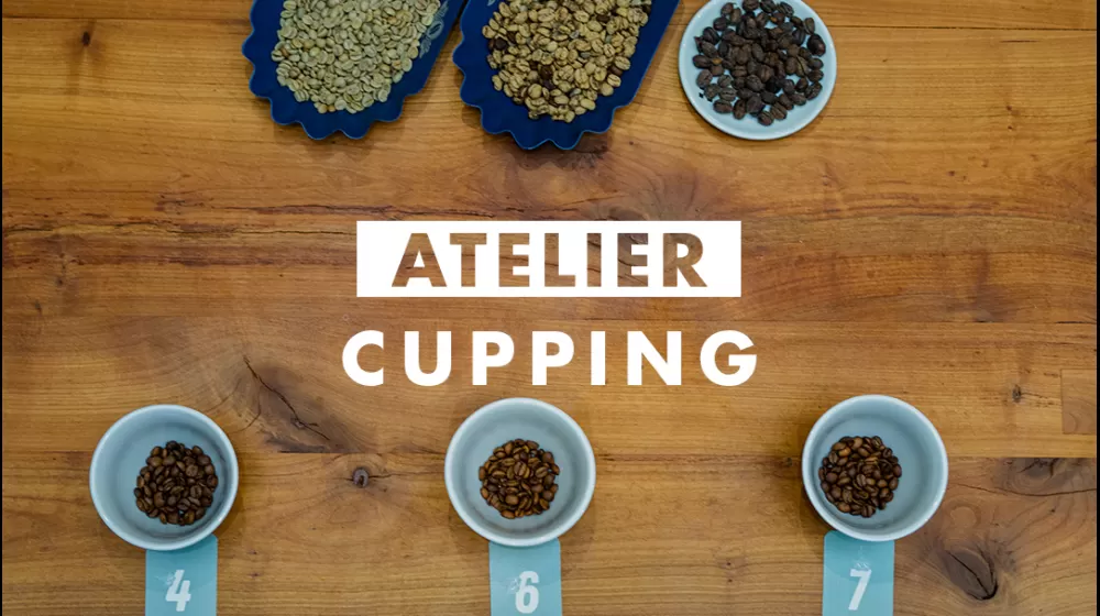 Un Atelier Cupping pour initier son palais à l'analyse sensorielle.