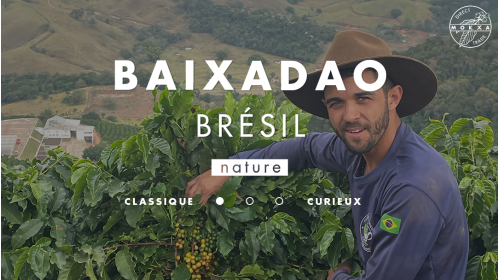 Café de spécialité du Brésil en direct trade, de la coopérative Cocarive et de la ferme Baixadao
