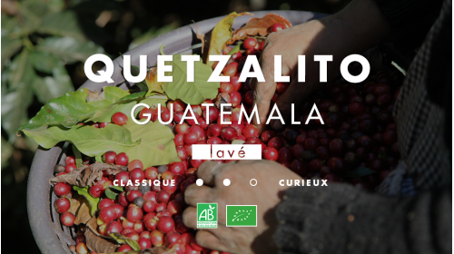 Guatemala Bio, Café Mokxa.