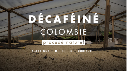 Café de spécialité décaféiné origine Colombie
