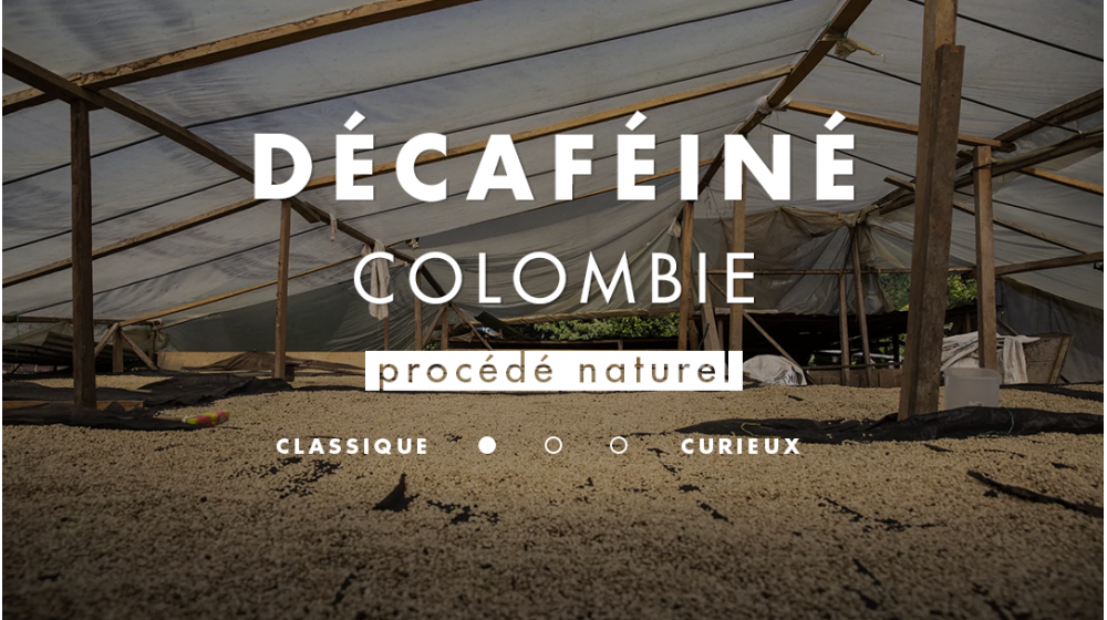 Café de spécialité décaféiné origine Colombie