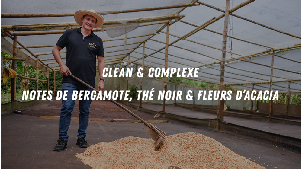 Sélection superfine, café de spécialité colombien au process lavé anaérobie. Profil gustatif unique et complexe !