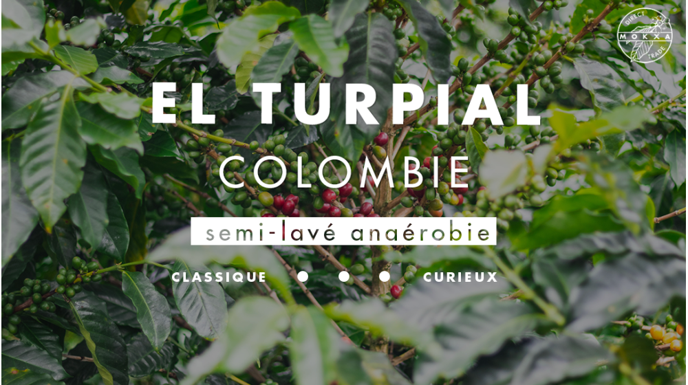 Café El Turpial Colombie Direct Trade