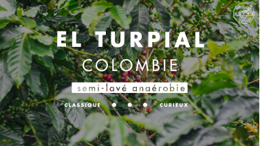 Café El Turpial Colombie Direct Trade