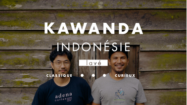 Café de spécialité Kawanda au process lavé
