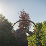 San Antonio - Café du Brésil