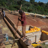 Burtukaana - Café d'Éthiopie