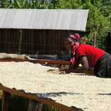 Gichathaini - Café de Kenya