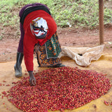 Ichamara - Café de Kenya