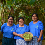Kekchi - Café du Guatemala BIO
